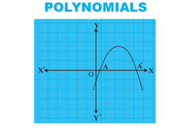 Polynomials - Custom Course of Class 9