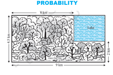 Probability – Custom Course of Class 10